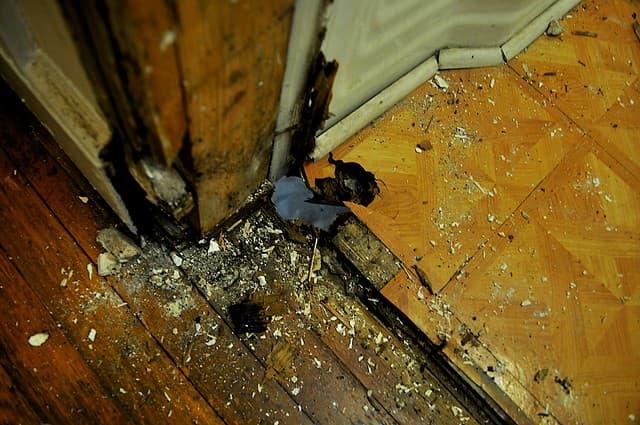2012-02-04 Bathroom demolition 05