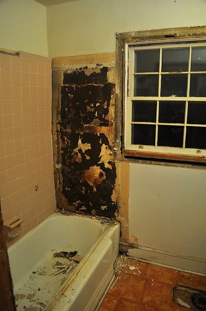 2012-02-04 Bathroom demolition 17