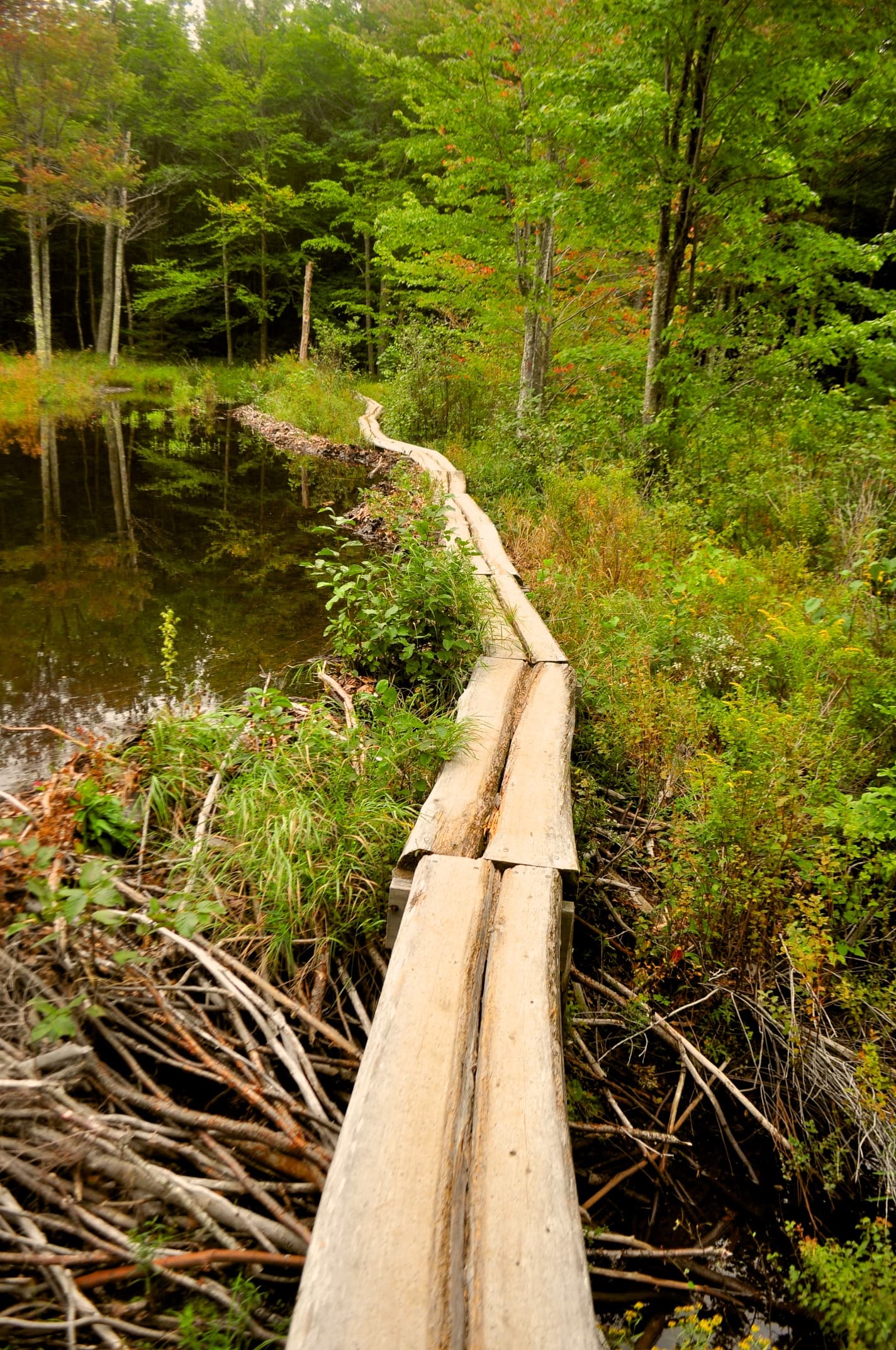 2012-09-07 Vacation - Maine-Acadia - Day 4 51